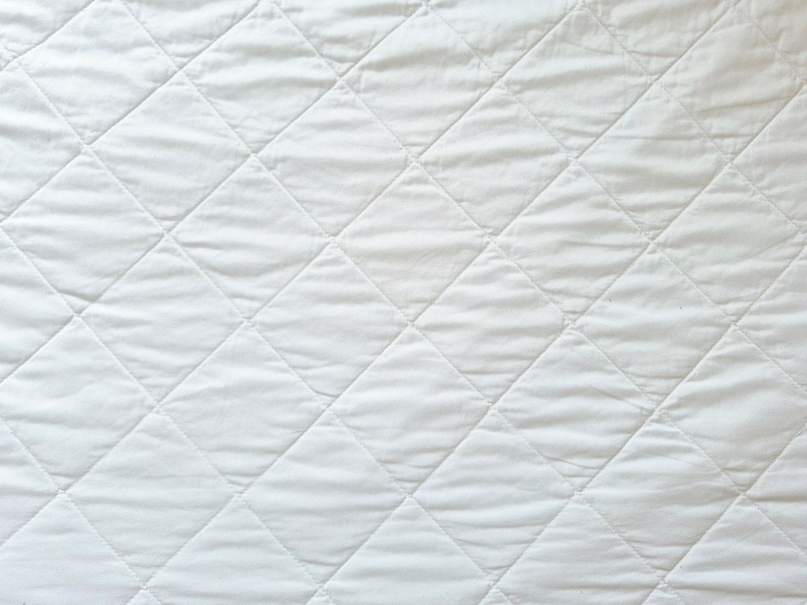 Wedding and anniversary quilt fabrics in soft celebration tones